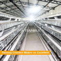 Qingdao A Frame Automatic Poultry Layer Equipment à vendre